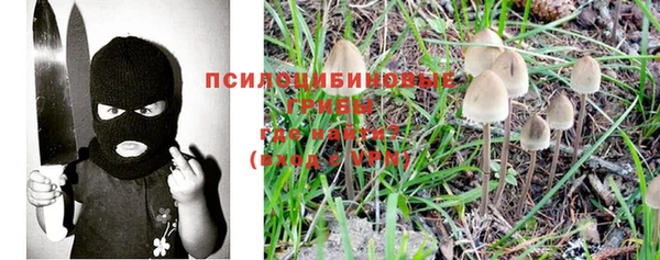 меф Арсеньев