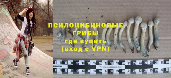 меф Арсеньев