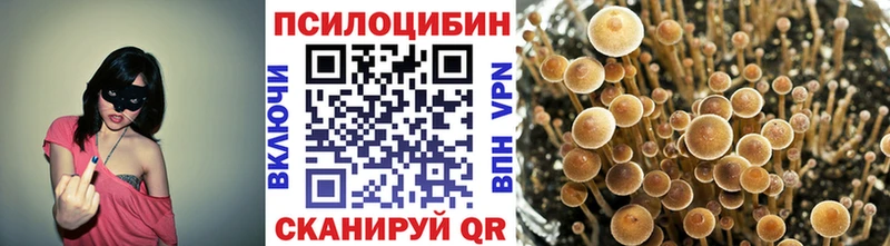 Псилоцибиновые грибы MAGIC MUSHROOMS  купить  цена  Мценск 